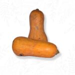 Zapallo Anco orgánico